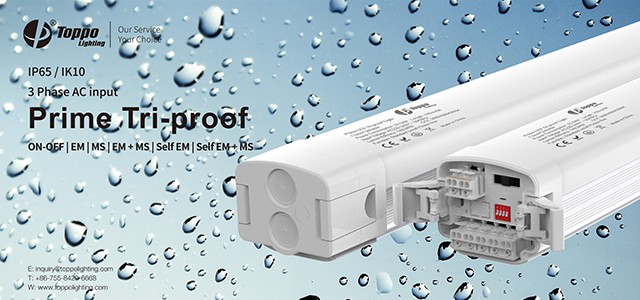 Tri-proof Light